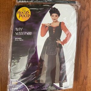 Disney Hocus Pocus Mary Sanderson Costume Size Medium
